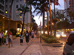 IMGP8895.jpg