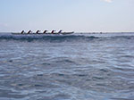 IMGP8972.jpg