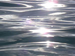 IMGP8974.jpg