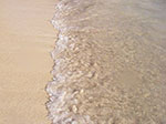 IMGP9050.jpg