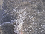 IMGP9087.jpg