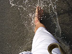 IMGP9124.jpg