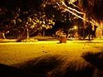 IMGP9163.jpg