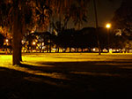 IMGP9166.jpg
