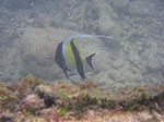 IMGP9226.jpg