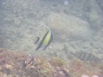 IMGP9231.jpg