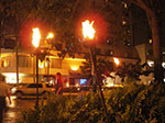 IMGP9275.jpg