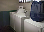 IMGP9306.jpg