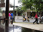 IMGP9307.jpg