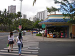 IMGP9310.jpg