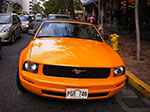 IMGP9326.jpg
