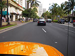 IMGP9335.jpg