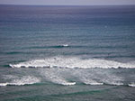 IMGP9349.jpg