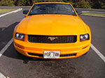 IMGP9396.jpg