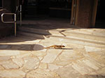 IMGP9405.jpg