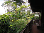 IMGP9506.jpg
