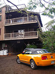 IMGP9508.jpg