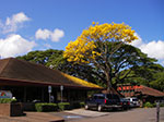 IMGP9518.jpg