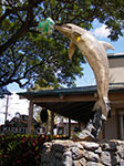 IMGP9538.jpg