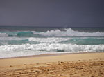 IMGP9867.jpg