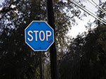 IMGP9895.jpg