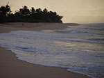 IMGP9988.jpg