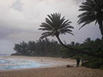 IMGP9999-0019.jpg