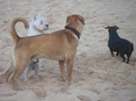 IMGP9999-0042.jpg