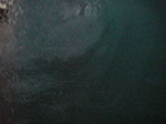 IMGP9999-0112.jpg