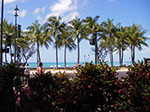 IMGP0162.jpg