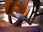IMGP0163.jpg