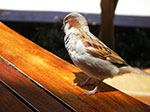 IMGP0167.jpg