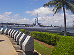 IMGP0217.jpg
