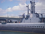 IMGP0220.jpg