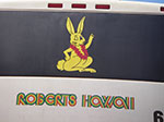 IMGP0240.jpg
