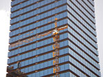 IMGP0244.jpg