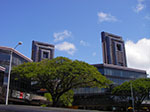 IMGP0259.jpg