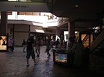 IMGP0274.jpg