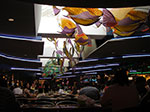 IMGP0285.jpg