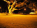 IMGP0373.jpg