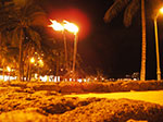 IMGP0377.jpg