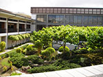 IMGP0430.jpg