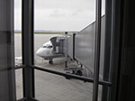 IMGP0512.jpg