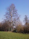 IMGP0626.jpg