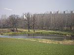 IMGP0662.jpg