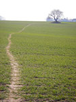 IMGP0669.jpg