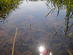 IMGP0680.jpg