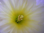 IMGP0716.jpg