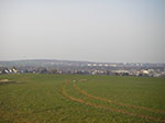 IMGP0725.jpg