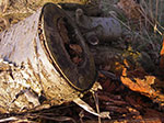 IMGP0757.jpg